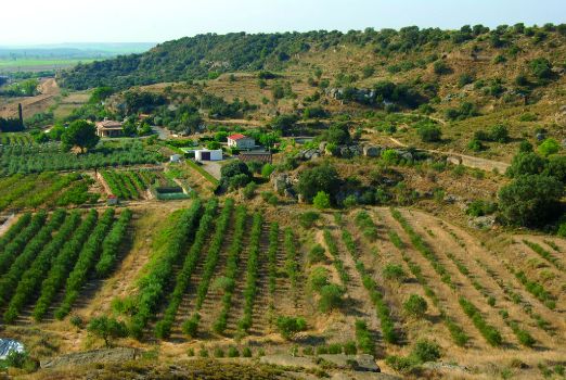 Vista panorámica de las tierras de cultivo